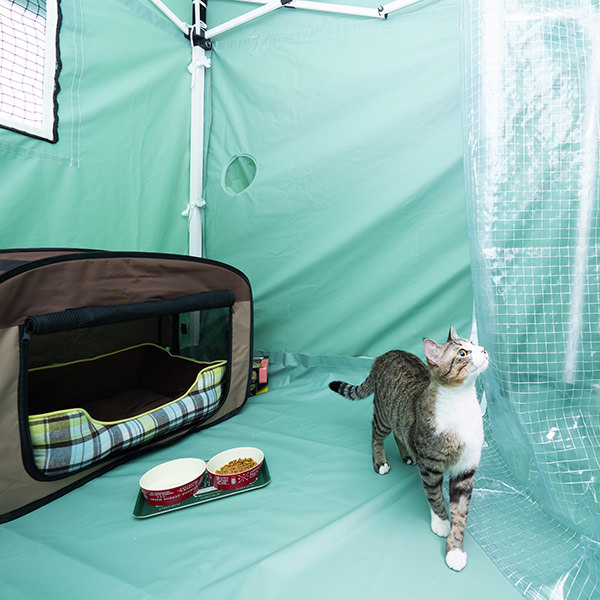 災害時避難ハウス 多頭飼育用被災時ハウス BOSAI NEKO TENT内部