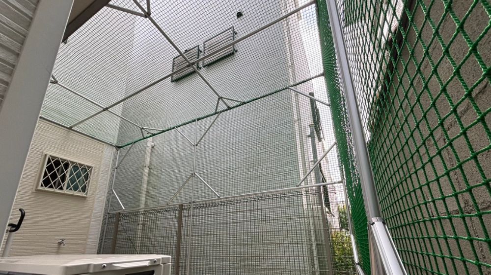 猫の屋外活動を保護するため、パイプを組んで緑色のネットを張り巡らせた事例です。